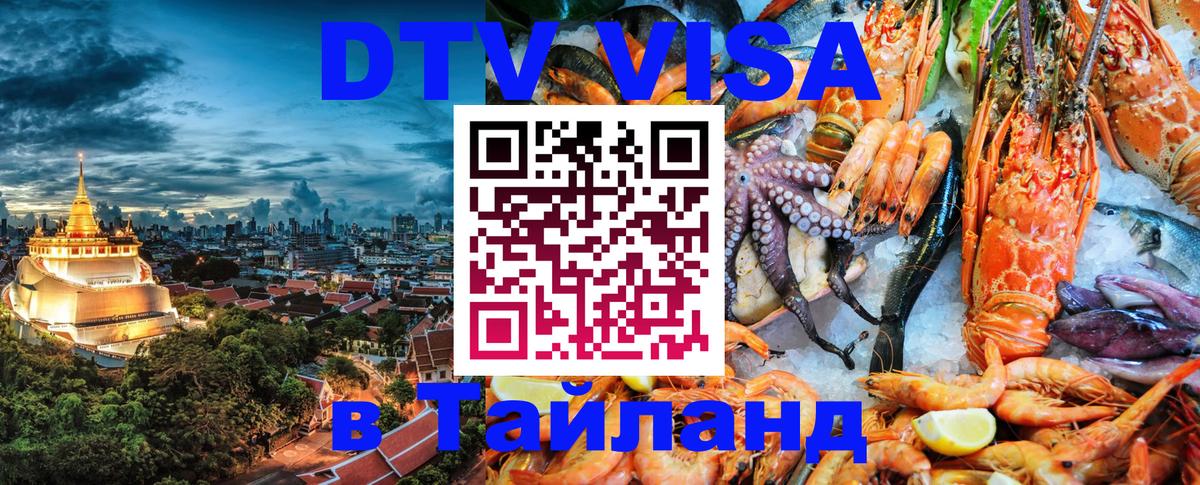 Оформление DTV визы под ключ: стоимость и тарифы, только загранпаспорт - Грозный  19.11.2025 